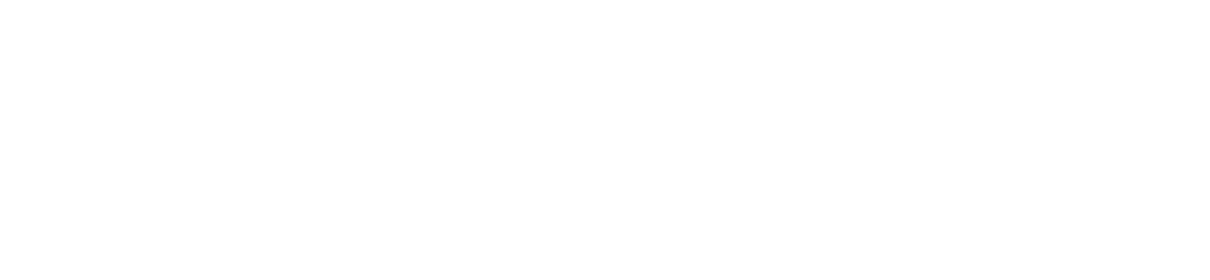 Doozi Logo